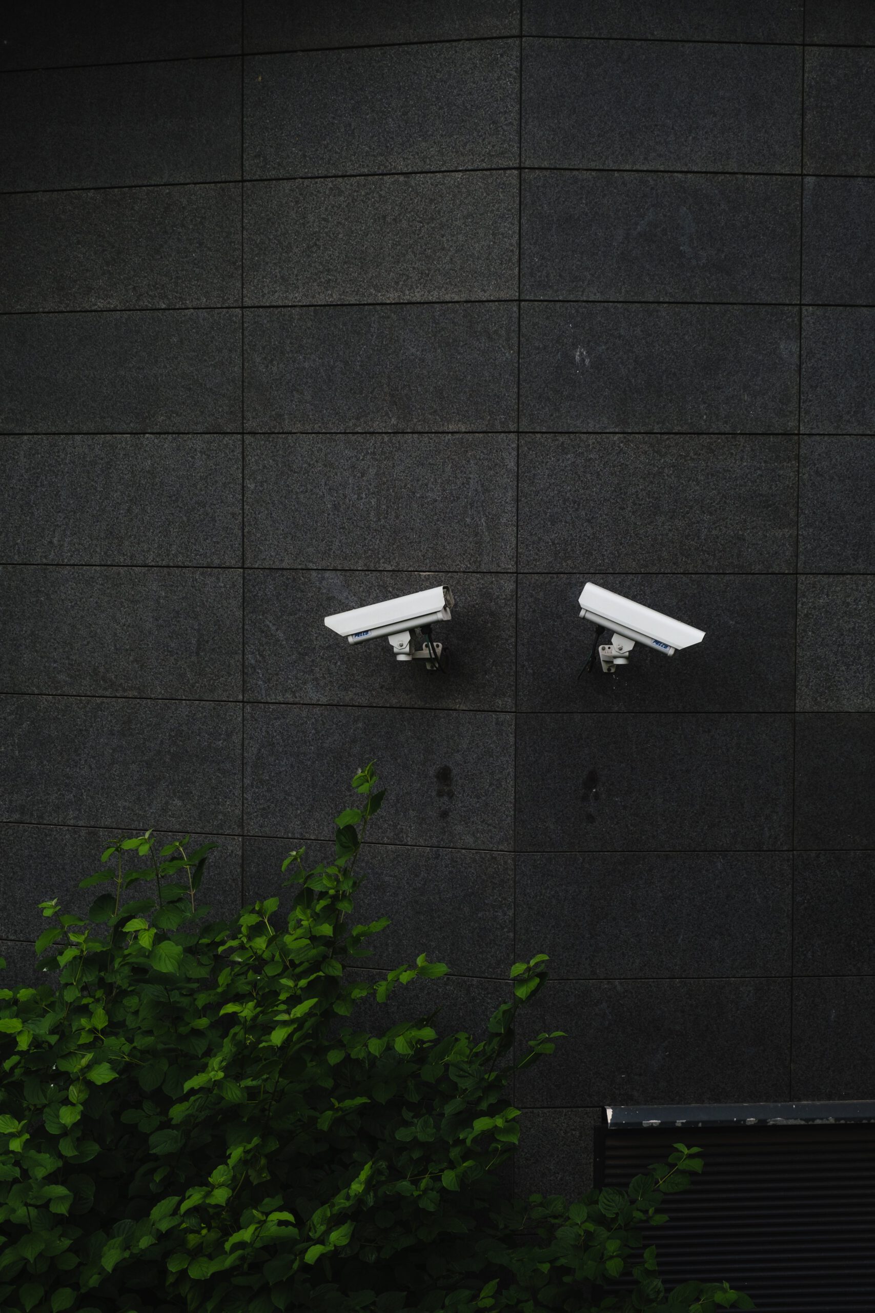 Vision Detection Systems Unveils Cutting-Edge Mobile Surveillance Cameras